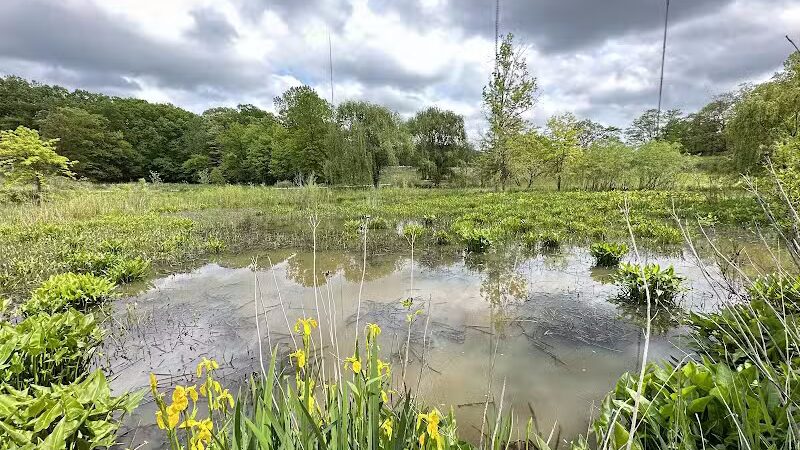 Watershed Stewardship Center - Parma, OH