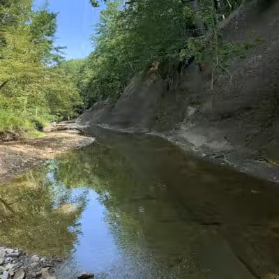 West Creek Reservation - Parma, OH