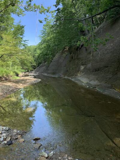 West Creek Reservation - Parma, OH