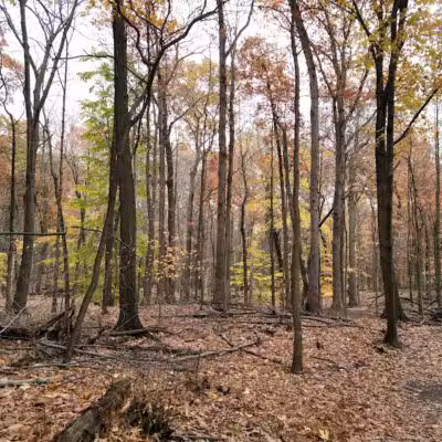 West Creek Reservation - Parma, OH