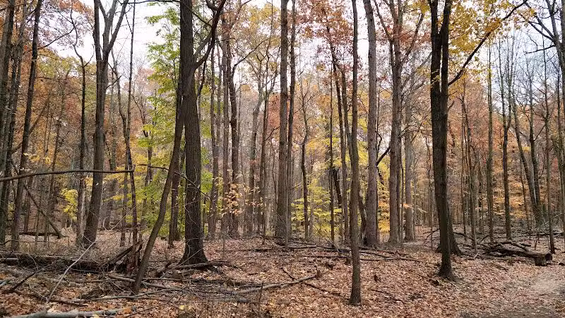 West Creek Reservation - Parma, OH