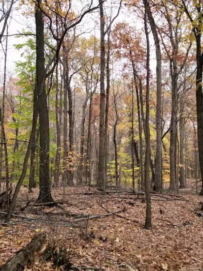West Creek Reservation - Parma, OH
