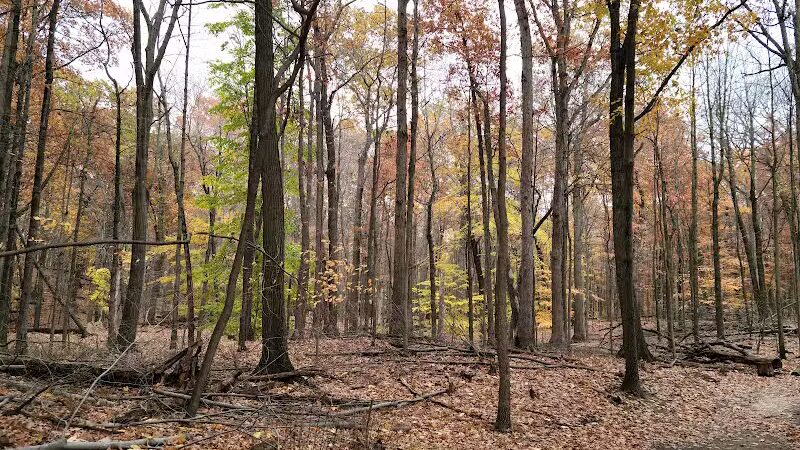 West Creek Reservation - Parma, OH