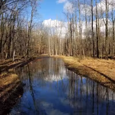 West Creek Reservation - Parma, OH