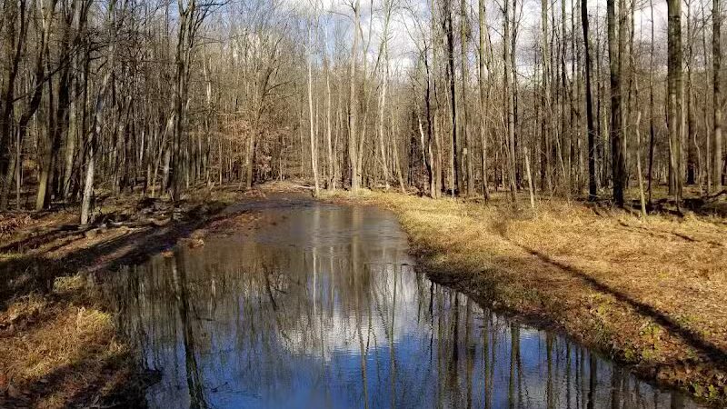 West Creek Reservation - Parma, OH