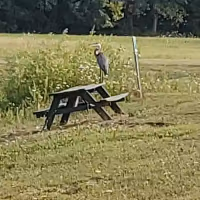 Citizens Park - Pataskala, OH