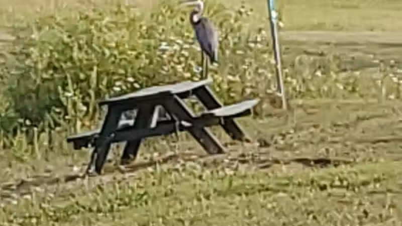 Citizens Park - Pataskala, OH