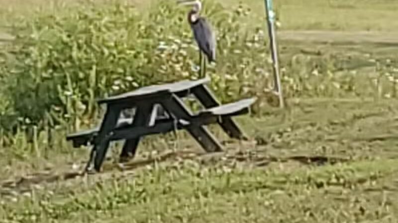 Citizens Park - Pataskala, OH