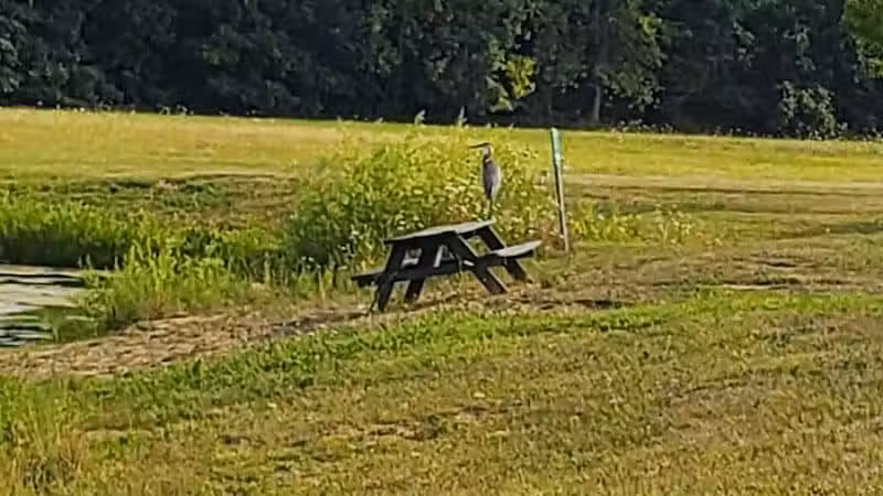 Citizens Park - Pataskala, OH