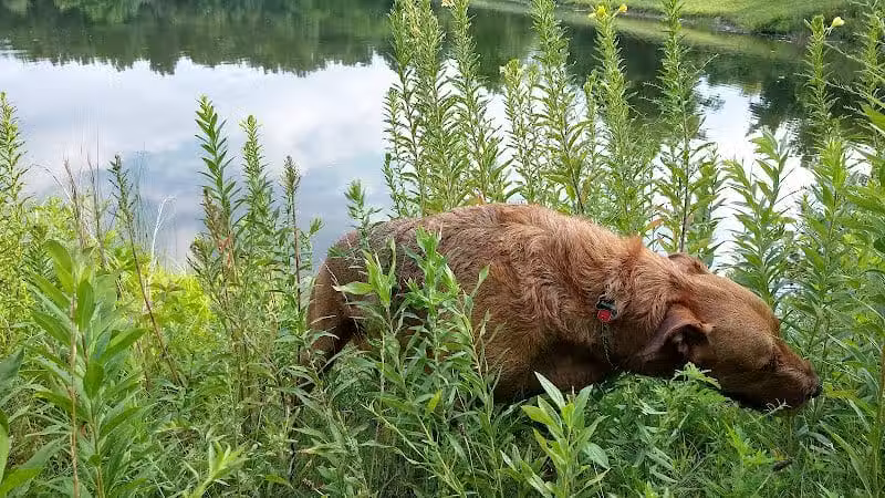 City of Pataskala Liberty Park - Pataskala, OH