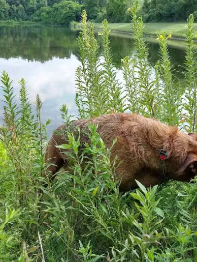 City of Pataskala Liberty Park - Pataskala, OH