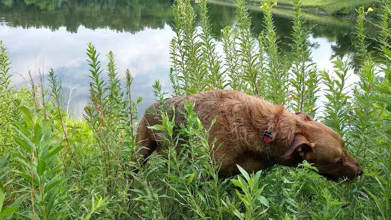 City of Pataskala Liberty Park - Pataskala, OH