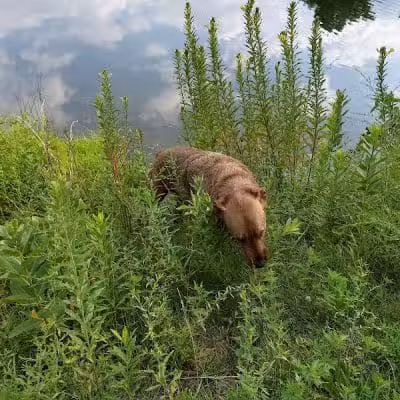 City of Pataskala Liberty Park - Pataskala, OH
