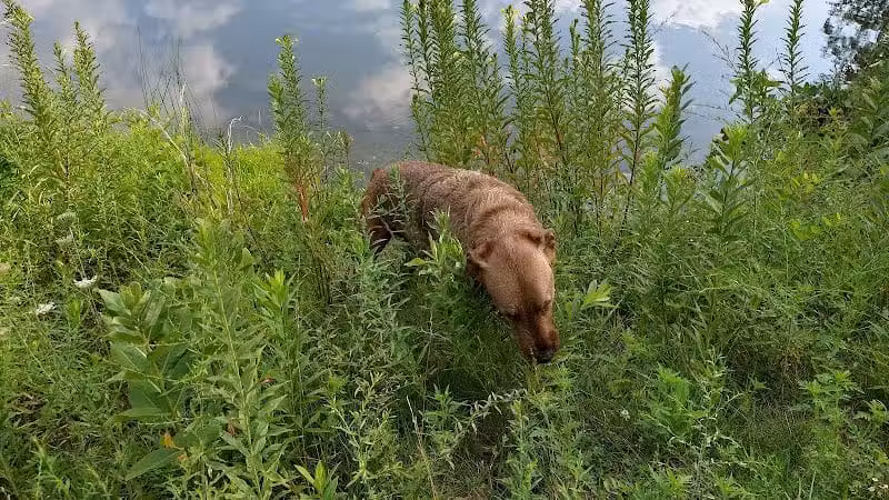 City of Pataskala Liberty Park - Pataskala, OH