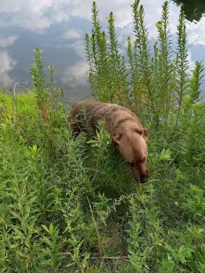 City of Pataskala Liberty Park - Pataskala, OH