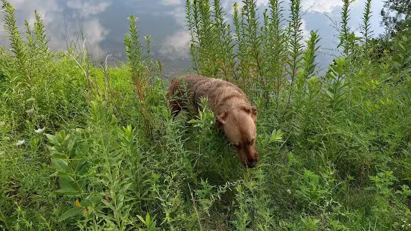 City of Pataskala Liberty Park - Pataskala, OH