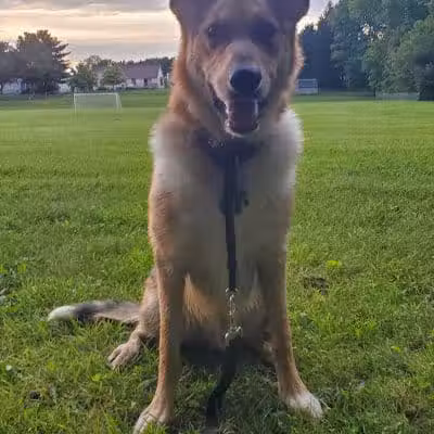 Pataskala Municipal Park - Pataskala, OH