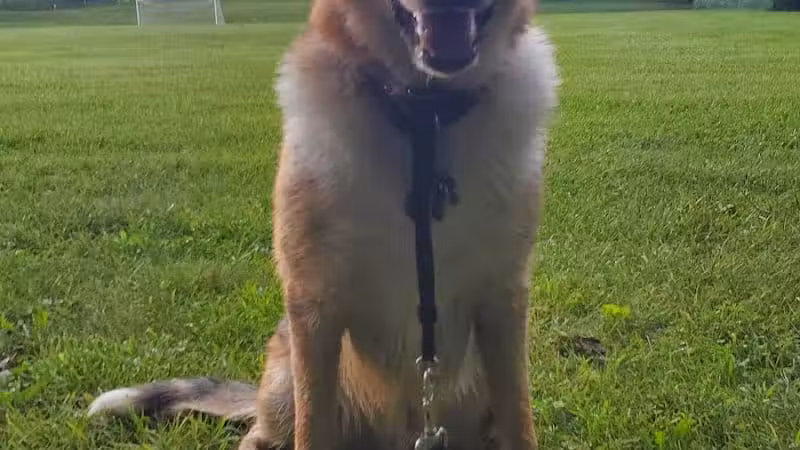 Pataskala Municipal Park - Pataskala, OH