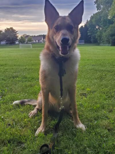 Pataskala Municipal Park - Pataskala, OH