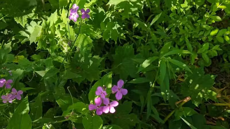 Pataskala Municipal Park - Pataskala, OH