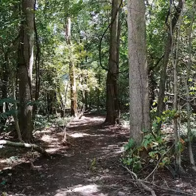 Thomas J. Evans Foundation Park - Pataskala, OH