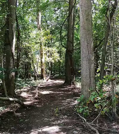 Thomas J. Evans Foundation Park - Pataskala, OH