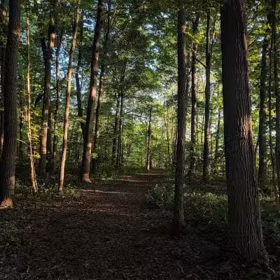 Thomas J. Evans Foundation Park - Pataskala, OH