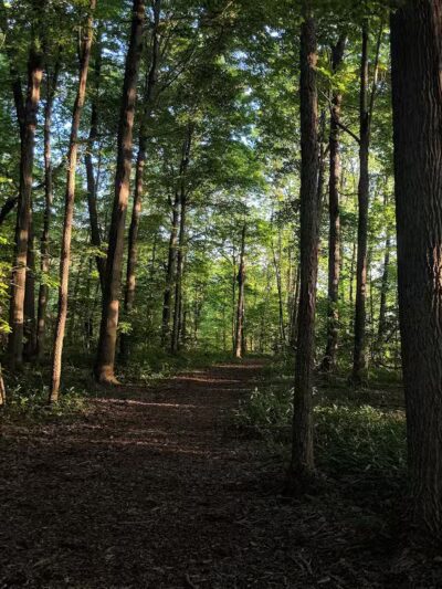 Thomas J. Evans Foundation Park - Pataskala, OH