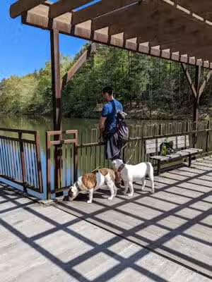 Lake Vesuvius Iron Ridge campground Site 33 - Pedro, OH