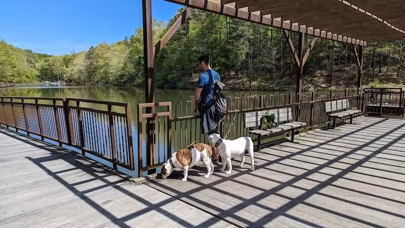 Lake Vesuvius Iron Ridge campground Site 33 - Pedro, OH