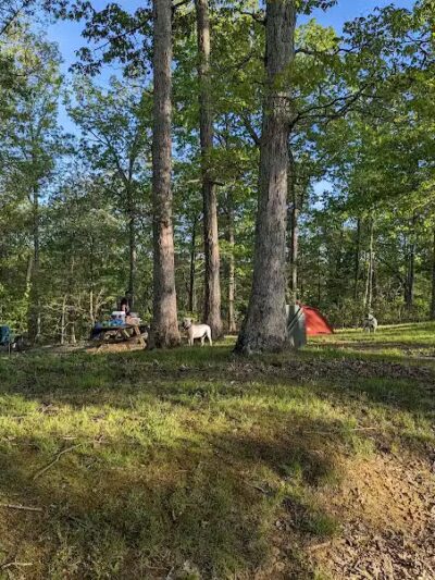 Lake Vesuvius Iron Ridge campground Site 33 - Pedro, OH