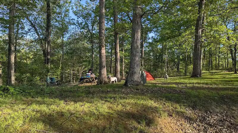 Lake Vesuvius Iron Ridge campground Site 33 - Pedro, OH