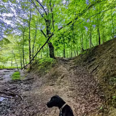 Lake Vesuvius Recreation Area - Pedro, OH