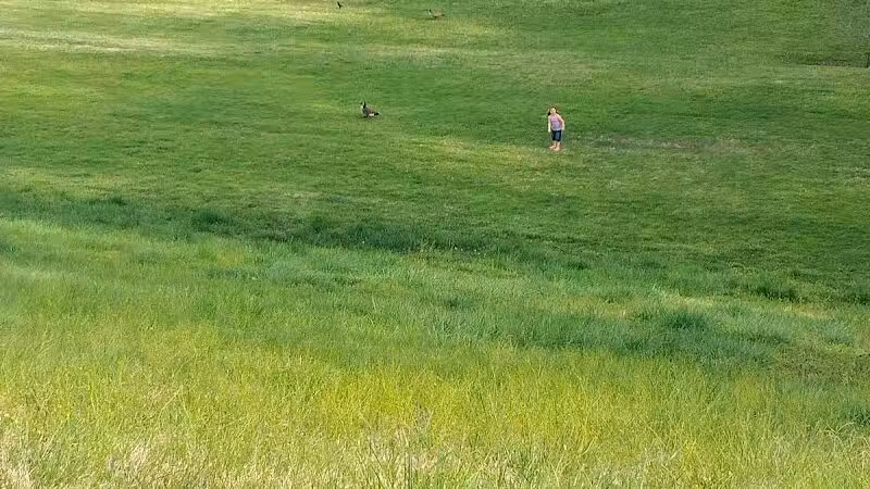 Lake Vesuvius Recreation Area - Pedro, OH