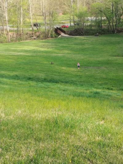 Lake Vesuvius Recreation Area - Pedro, OH