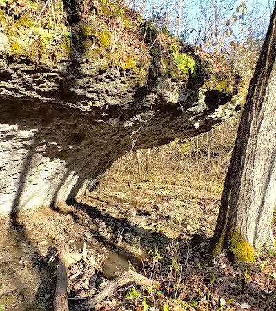Shoemaker State Nature Preserve - Peebles, OH