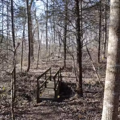 Shoemaker State Nature Preserve - Peebles, OH