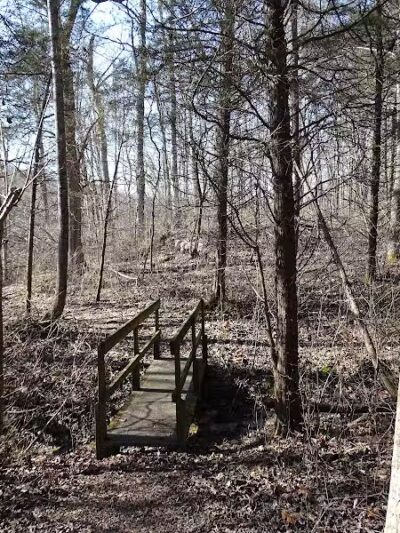 Shoemaker State Nature Preserve - Peebles, OH