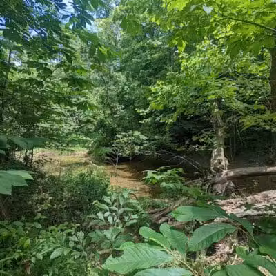 Shoemaker State Nature Preserve - Peebles, OH