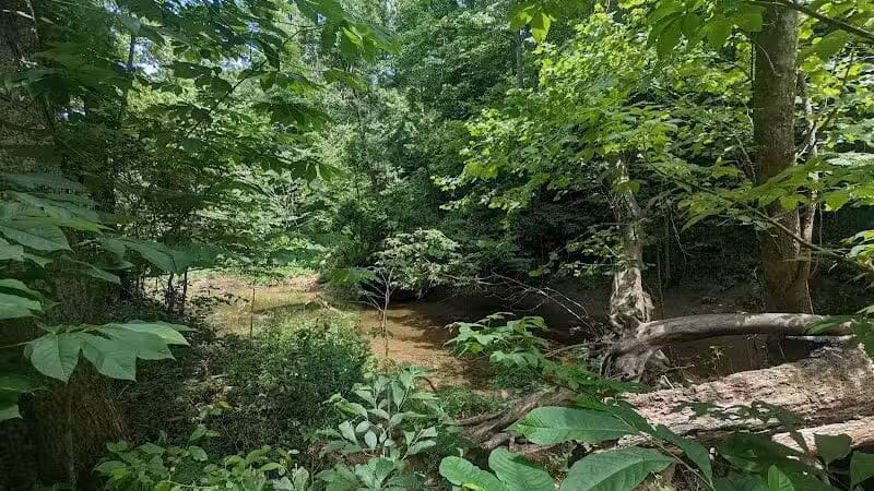 Shoemaker State Nature Preserve - Peebles, OH