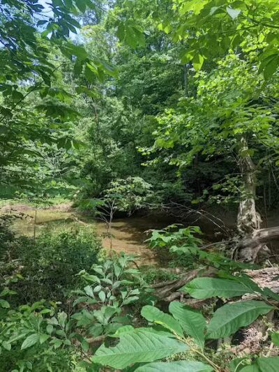 Shoemaker State Nature Preserve - Peebles, OH
