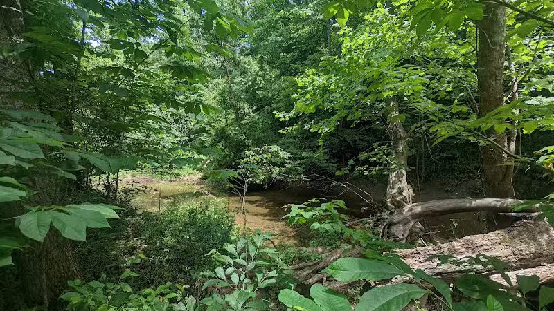 Shoemaker State Nature Preserve - Peebles, OH