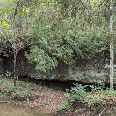 Shoemaker State Nature Preserve - Peebles, OH
