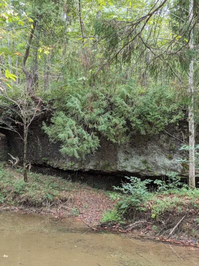 Shoemaker State Nature Preserve - Peebles, OH