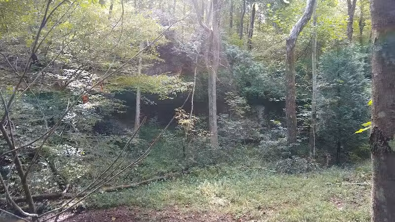 Shoemaker State Nature Preserve - Peebles, OH