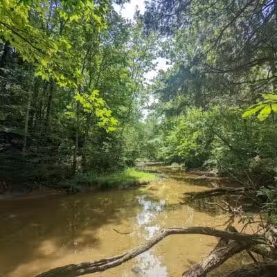 Shoemaker State Nature Preserve - Peebles, OH