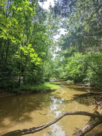 Shoemaker State Nature Preserve - Peebles, OH