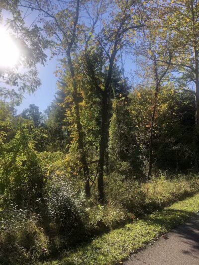 Bike and Hike Trailhead - Peninsula, OH