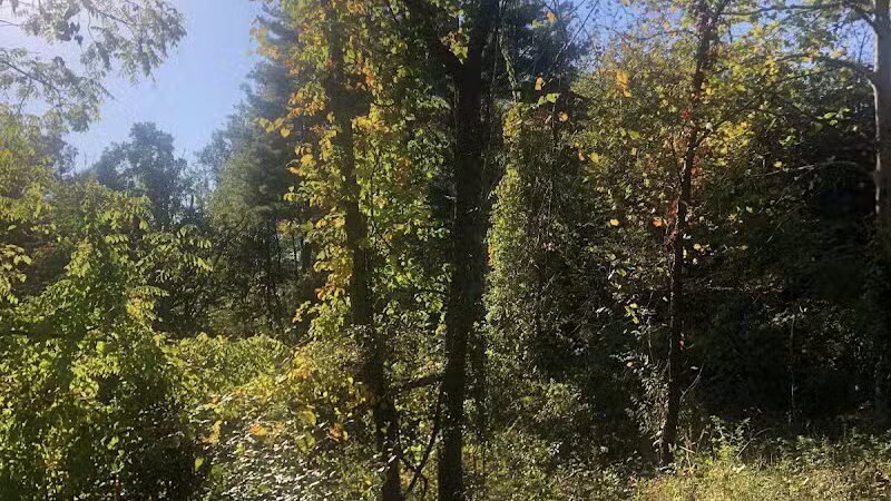 Bike and Hike Trailhead - Peninsula, OH