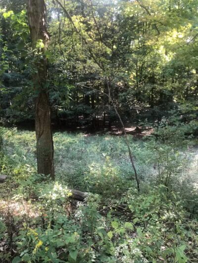 Bike and Hike Trailhead - Peninsula, OH